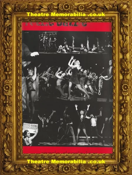  London Westend Theatre Chicago – 2010 - Theatre Memorabilia - Theatre Programmes Theatre Memorabilia - Theatre Programmes