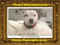 Animal Sanctuary Autograph Signed Animal Sanctuary Postcard ? – Help 26