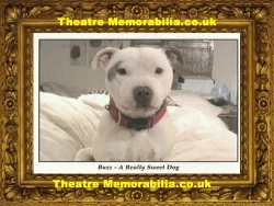 Animal Sanctuary signed postcard, help identify