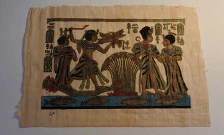 Egypt Papyrus Art Work Picture