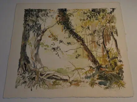 Unknown Artist – A Woodland Forest Scene Watercolour Picture