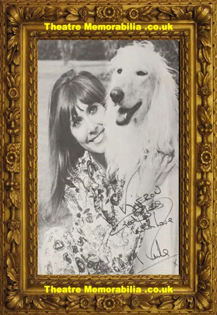 Anita Harris Autograph Signed Picture – Singer